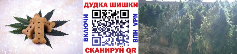 Купить где  Одинцово  Печенье с ТГК марихуана