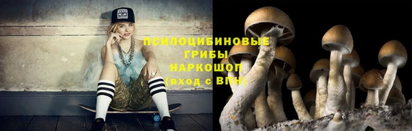 a pvp Касимов