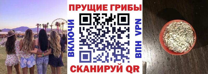 Псилоцибиновые грибы MAGIC MUSHROOMS  Купить закладки  Одинцово 